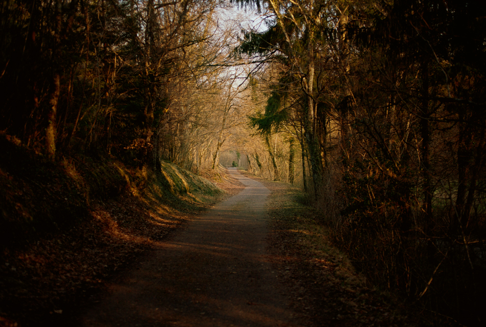 Un pas sage vers soi passage psychothérapie en bourgogne dijon beaune nuits-saint-georges Gestalt Armelle Hudelot psychopraticienne et photographe olfactothérapie reiki numérologie accompagnement spirituel thérapie brève 