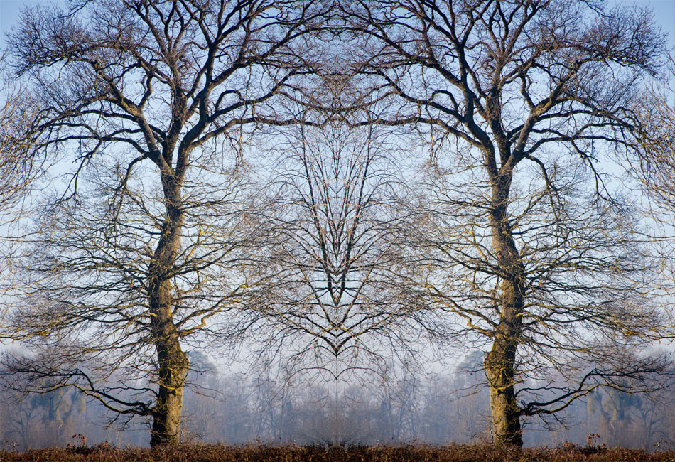 Armelle Hudelot, photographe et psychothérapeute, soins energetiques